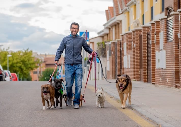 Pet sitting and dog walking is a low cost business idea.